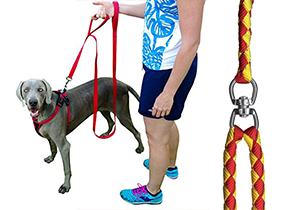 Top 10 Best Dog Leashes for Running in 2015 Reviews