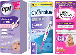 10 Best Ovulation Tests in 2017 Reviews